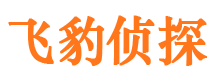 惠山调查公司